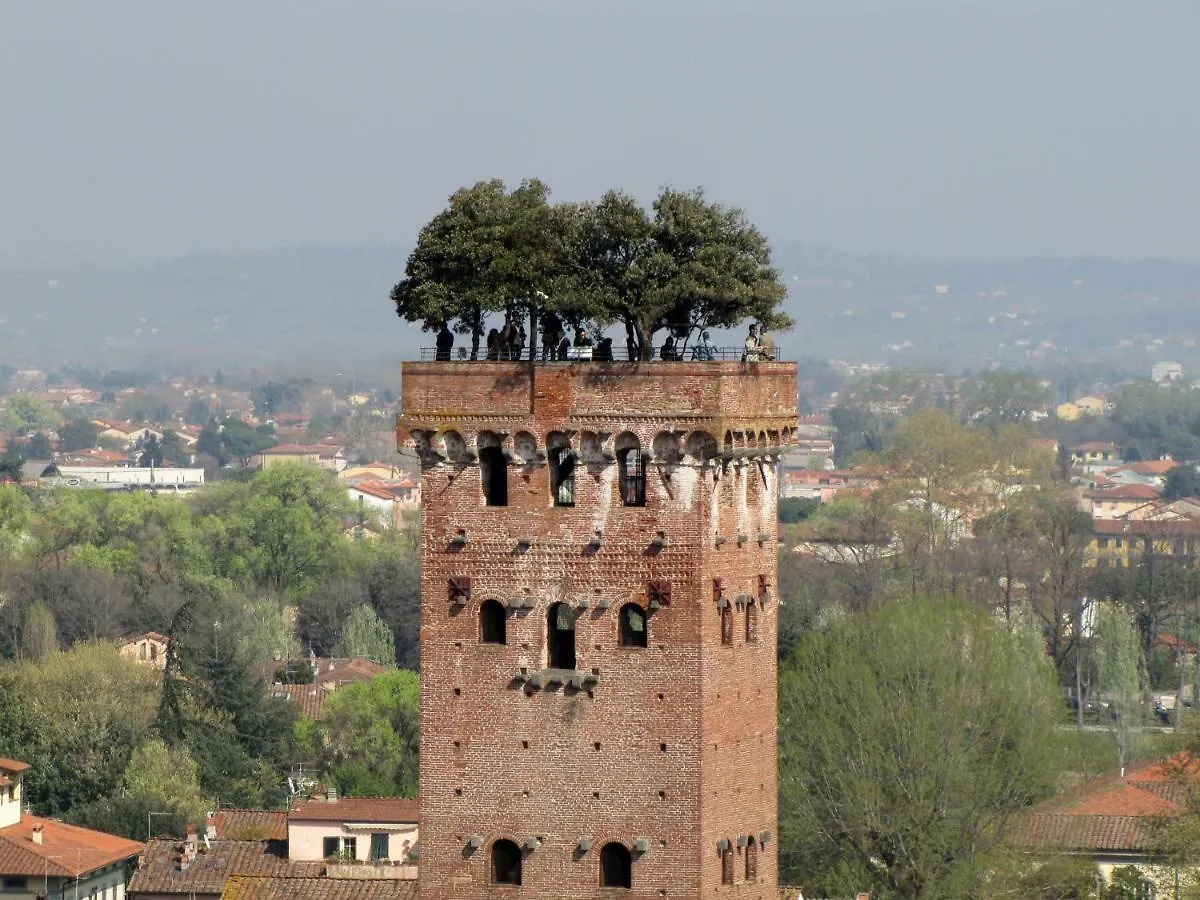 Shanty Home Lucca